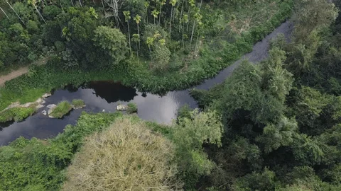 Vue drone — rivière et forêt tropicale de la zone Andasibe · Better Earth Madagascar