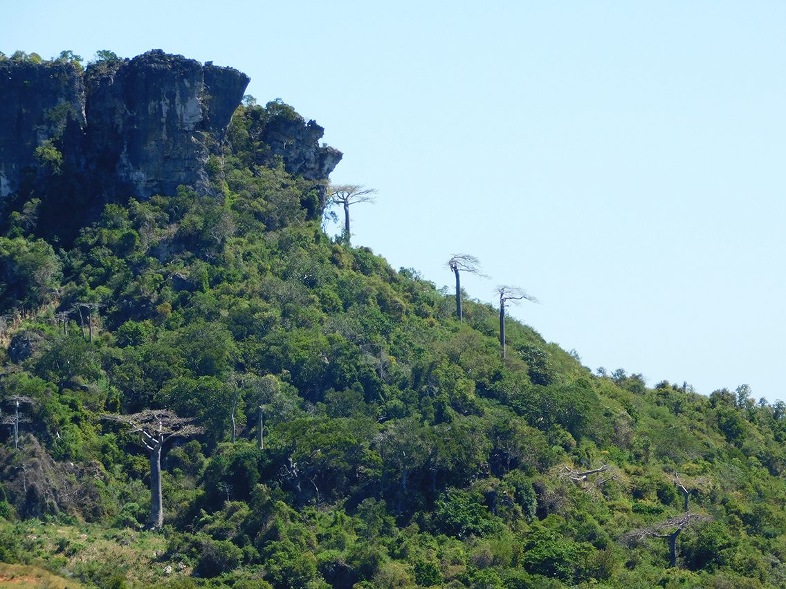 Territoire forestier Better Earth — falaise et forêt native, Madagascar